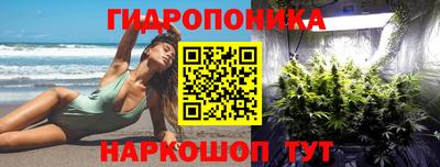 ALPHA PVP Пугачёв
