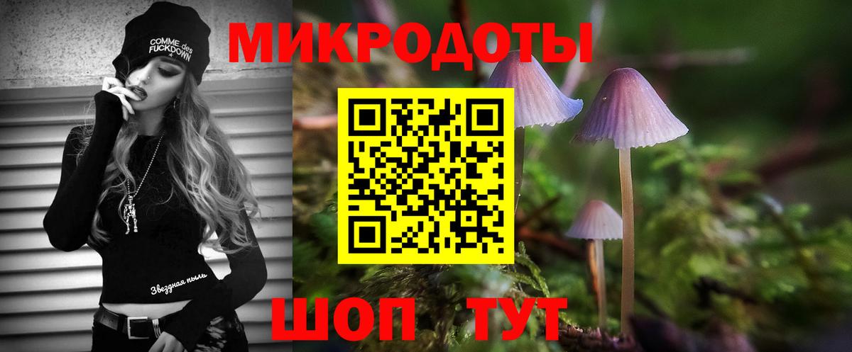 Галлюциногенные грибы GOLDEN TEACHER  Вход с VPN  Ртищево 