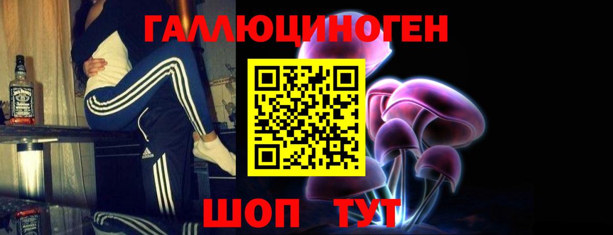 Галлюциногенные грибы Cubensis Ртищево